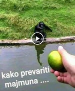 Sitcom Laughter Applause Gaming Sound Effect (HD)