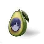 Avocado Ado-cado