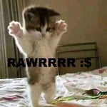 Rawr - Sound