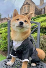 burger king commercial