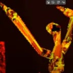 clouds gorilla horror Lava Daisy09