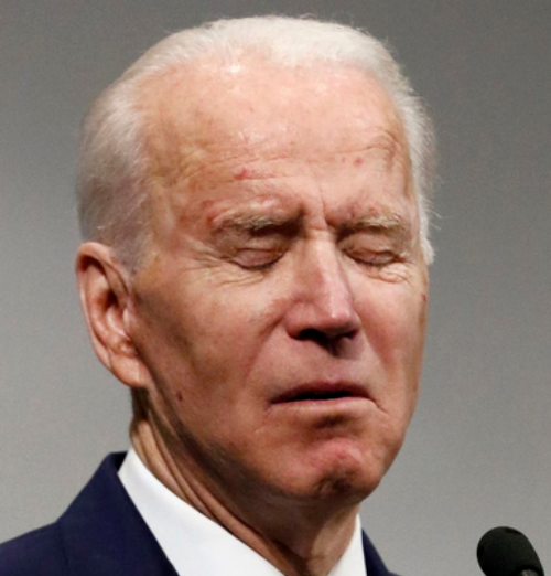 joe biden what a stupid son of a bitch