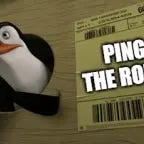 i pinguini me lo masticheranno