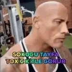 Vine boom sound effect (copy)