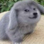 look what they did to you jason