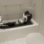 SPOILER_lost media (1) (1) (1) (mp3cut.net)