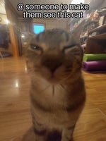 coughing sfx "used for trolling"