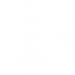 ma goofy ah uncle dingle