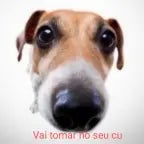 me devolve o dinheiro