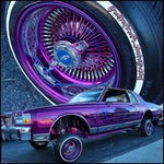 Natoxie Ft TKD Pilule (Koké Sal Riddim) 2022