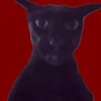 Angry Monkey - Sound Effect _ ProSounds