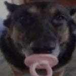 Chegou mensagem para você CId