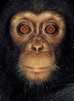 get juked kid ur bad