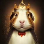 איב אנד ליר רבי נחמן Eve And Lear Rabbi Nachman - Sound