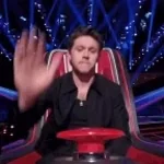THE VOICE BUTTON