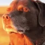 up down up down ❤️‍🩹