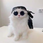 Remember Son, dying is Gay