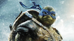Teenage Mutant Ninja Turtles Elevator Clip