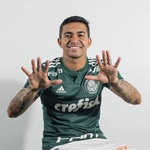 Palmeiras - Rádio Globo