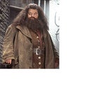 You're a Wizard Harry