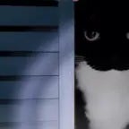 0731 (1) (online-audio-converter.com)