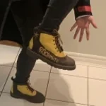 Don quixote rocinante