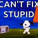 peak (i cant fix you)