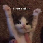 crickets sound effect