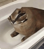 huh fish aaaa - Sound