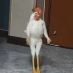 chicken on tree screaming