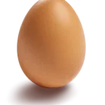 singing dog from instagram