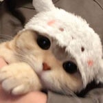 Only you my Girl - Dark Girl