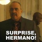 surpise hermano