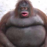 UH OH stinky - Sound