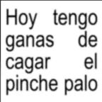 hoy tengo ganas de cagar el piche palo