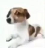 chinese man breaking glass