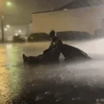 Where Have You Been Slowed