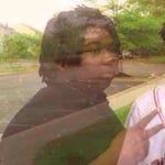 Nileseyy Niles - Disappearing Vine