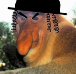 TerazMy Takiego Janicka speed up