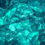 The Original Running Duck (copy)