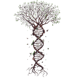 Cristiano Araújo É com ela que eu estou (DVD in The Cities) [Ví