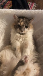 Twin where have you been