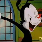 Goodnight Everybody!