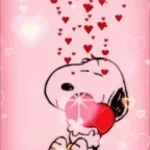 KEANO ZIJN BOERR! UGHH