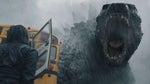 long roar