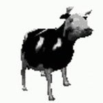 (1) Polish cow (English Lyrics Full Version) YouTube Google Chr