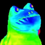 front facing martin (martincitopants)