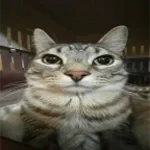 DVJ Bazuka -  Take Me Over