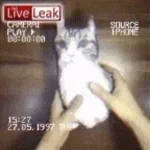 you stupid motherfuckaaahhh....