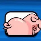 clash royale pig shaking